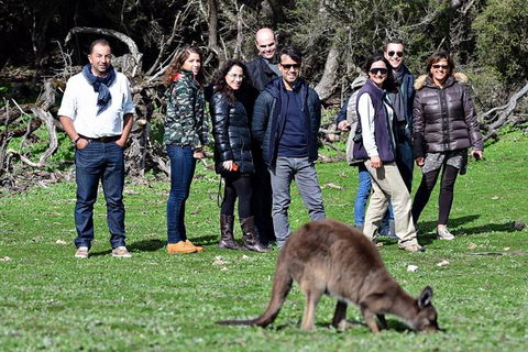 2-Day Kangaroo Island 4WD Small-Group Tour From Adelaide - Hervey Bay Accommodation 8