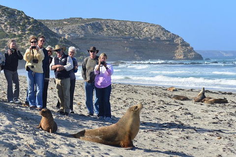 2-Day Kangaroo Island 4WD Small-Group Tour From Adelaide - Hervey Bay Accommodation 5