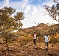 Flinders Ranges 3 Day 4WD Small Group Eco Tour from Adelaide - Hervey Bay Accommodation