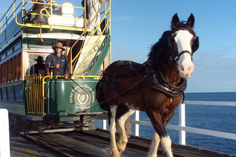 Full-Day Tour In South Australia Highlights - Hervey Bay Accommodation 0