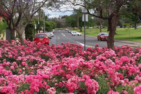 Adelaide Walking Tour: Hills, Squares And Parklands - Hervey Bay Accommodation 6