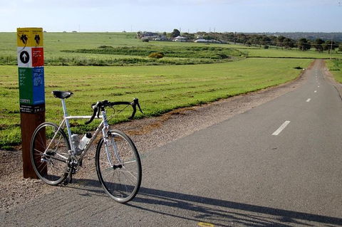 McLaren Vale Shiraz Trail Cycling Tour From Adelaide - Hervey Bay Accommodation 1