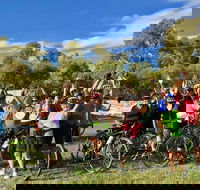 McLaren Vale Shiraz Trail Cycling Tour from Adelaide - Hervey Bay Accommodation