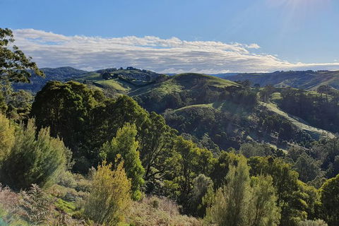 3-Day Adelaide To Melbourne Tour Including The Great Ocean Road - Hervey Bay Accommodation 7