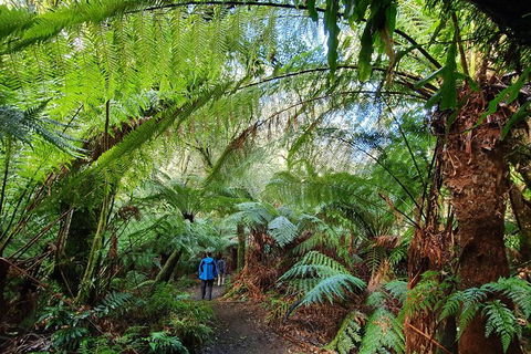 3-Day Adelaide To Melbourne Tour Including The Great Ocean Road - Hervey Bay Accommodation 6