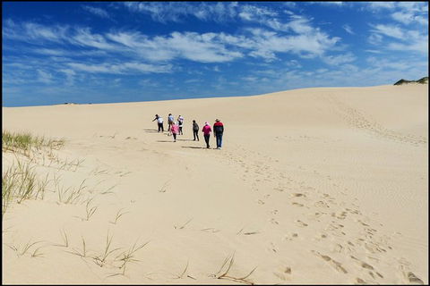 Coorong National Park Wildlife Cruise From Goolwa - Hervey Bay Accommodation 3