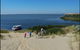 Coorong National Park Wildlife Cruise From Goolwa - thumb 7