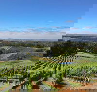 Small-Group Full-Day Adelaide Hills and Hahndorf Wine Tour from Adelaide - Hervey Bay Accommodation
