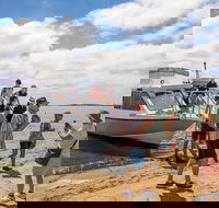 Coorong Discovery Cruise - Hervey Bay Accommodation