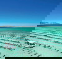 Coffin Bay Day Tour - A Taste of Coffin Bay - Hervey Bay Accommodation