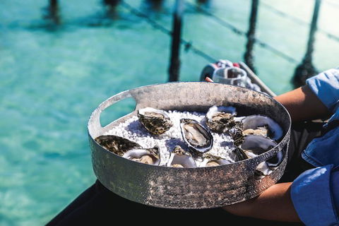 Coffin Bay Day Tour - A Taste Of Coffin Bay - Hervey Bay Accommodation 8