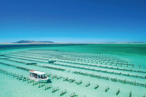 Coffin Bay Day Tour - A Taste Of Coffin Bay - Hervey Bay Accommodation 2