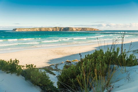 Coffin Bay Day Tour - A Taste Of Coffin Bay - Hervey Bay Accommodation 13