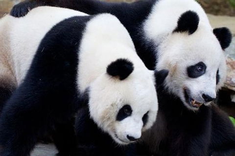 Adelaide City Tour With Optional River Cruise And Adelaide Zoo Admission - Hervey Bay Accommodation 1