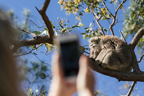 Exceptional Port Lincoln, Seafood And Wildlife Tour - Hervey Bay Accommodation 0