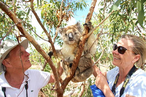 Exceptional Port Lincoln, Seafood And Wildlife Tour - Hervey Bay Accommodation 6
