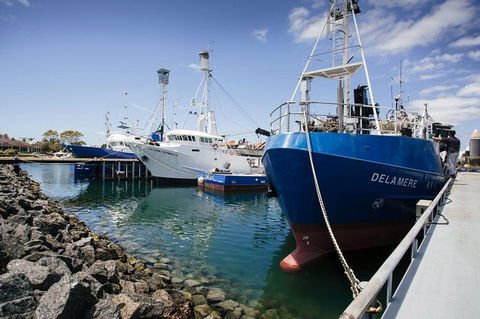 Exceptional Port Lincoln, Seafood And Wildlife Tour - Hervey Bay Accommodation 8