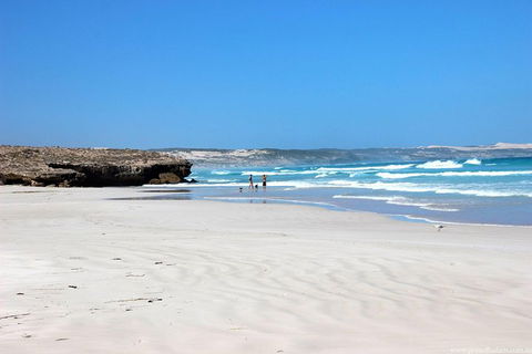Exceptional Port Lincoln, Seafood And Wildlife Tour - Hervey Bay Accommodation 4