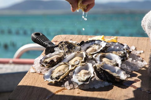 Experience Coffin Bay Short And Sweet Oyster Farm Tour - Hervey Bay Accommodation 0
