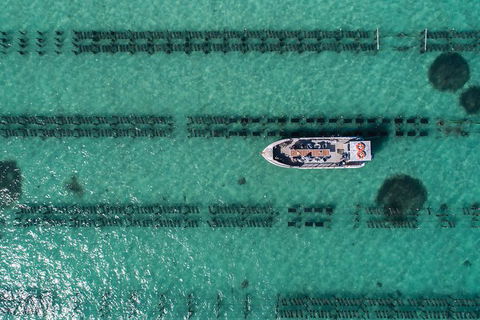 Experience Coffin Bay Short And Sweet Oyster Farm Tour - Hervey Bay Accommodation 1