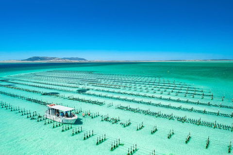 Experience Coffin Bay Short And Sweet Oyster Farm Tour - Hervey Bay Accommodation 5
