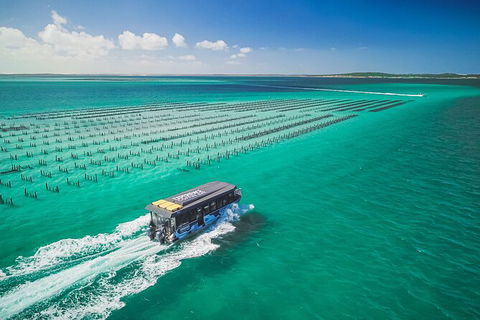 Experience Coffin Bay Short And Sweet Oyster Farm Tour - Hervey Bay Accommodation 2