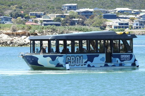 Experience Coffin Bay Short And Sweet Oyster Farm Tour - Hervey Bay Accommodation 9