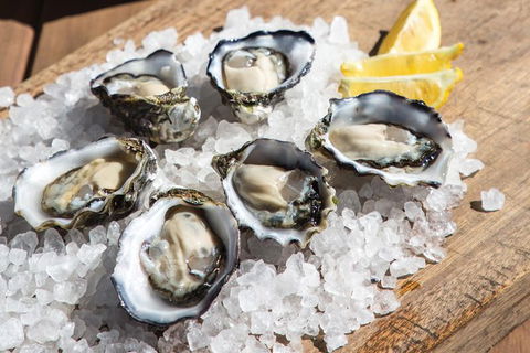 Experience Coffin Bay Short And Sweet Oyster Farm Tour - Hervey Bay Accommodation 3