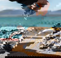 Experience Coffin Bay Oyster Farm and Bay Tour - Hervey Bay Accommodation