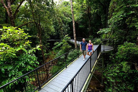 5-Day Best Of Cairns With Daintree, Kuranda, And Great Barrier Reef - Tourism Hervey Bay 4
