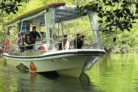 5-Day Best Of Cairns With Daintree, Kuranda, And Great Barrier Reef - Tourism Hervey Bay 8
