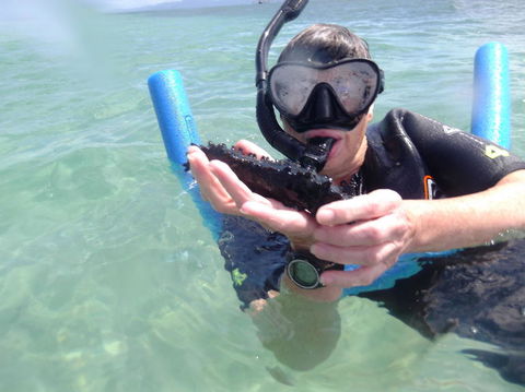 Great Barrier Reef Sailing And Snorkeling Cruise From Port Douglas - Tourism Hervey Bay 4