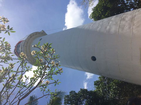 Great Barrier Reef Sailing And Snorkeling Cruise From Port Douglas - Tourism Hervey Bay 2