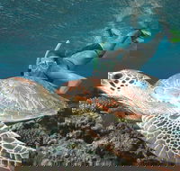 Great Barrier Reef Sailing and Snorkeling Cruise from Port Douglas - Tourism Hervey Bay