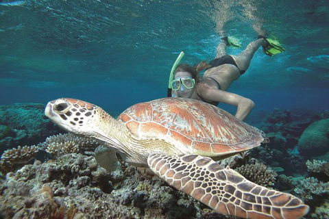 Great Barrier Reef Sailing And Snorkeling Cruise From Port Douglas - Tourism Hervey Bay 0
