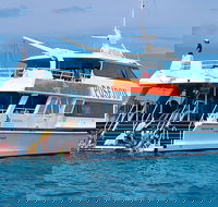 Poseidon Outer Great Barrier Reef Snorkeling and Diving Cruise from Port Douglas - Tourism Hervey Bay