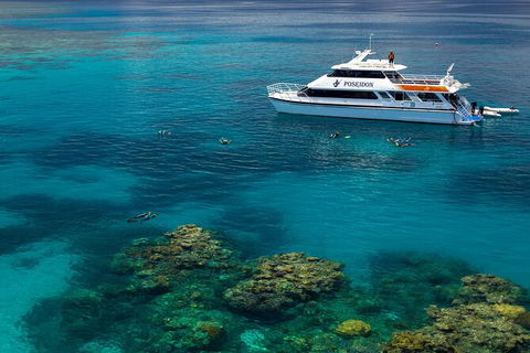 Poseidon Outer Great Barrier Reef Snorkeling And Diving Cruise From Port Douglas - Tourism Hervey Bay 2