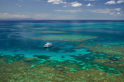 Poseidon Outer Great Barrier Reef Snorkeling And Diving Cruise From Port Douglas - Tourism Hervey Bay 5