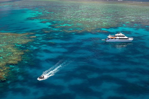 Poseidon Outer Great Barrier Reef Snorkeling And Diving Cruise From Port Douglas - Tourism Hervey Bay 9