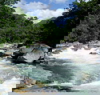 Daintree Rainforest Cape Tribulation Mossman Gorge in a day - Tourism Hervey Bay