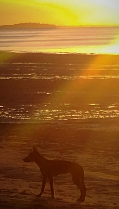 3-Day Fraser Island Resort Package - Hervey Bay Accommodation 3