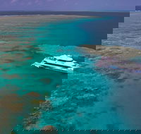 Silversonic Outer Great Barrier Reef Dive and Snorkel Cruise from Port Douglas - Tourism Hervey Bay
