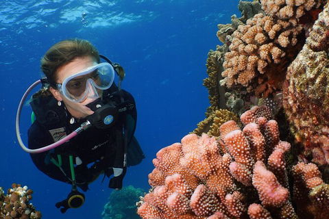 Silversonic Outer Great Barrier Reef Dive And Snorkel Cruise From Port Douglas - Tourism Hervey Bay 5