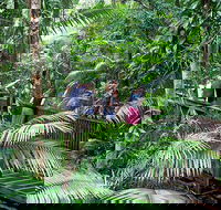 Full Day Daintree Rainforest and Mossman Gorge Tour - Tourism Hervey Bay