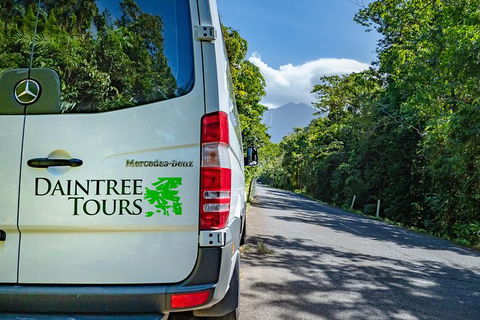 Full Day Daintree Rainforest And Mossman Gorge Tour - Hervey Bay Accommodation 4