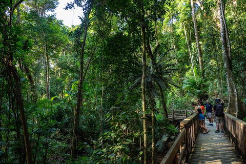 Full Day Daintree Rainforest And Mossman Gorge Tour - Hervey Bay Accommodation 10