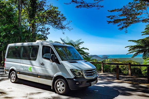 Full Day Daintree Rainforest And Mossman Gorge Tour - Hervey Bay Accommodation 6