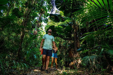 Full Day Daintree Rainforest And Mossman Gorge Tour - Hervey Bay Accommodation 12