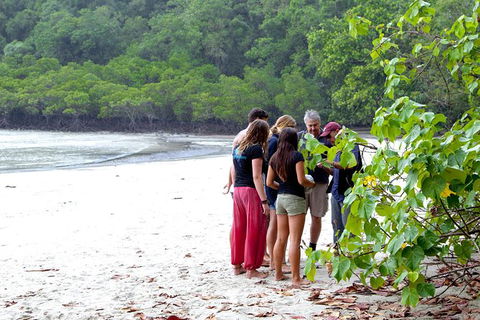Full Day Daintree Rainforest And Mossman Gorge Tour - Hervey Bay Accommodation 7