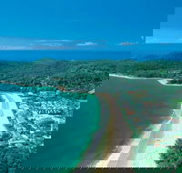 Sunshine Coast Hinterland and Noosa Day Trip from Brisbane Including Eumundi Markets and Ginger Factory